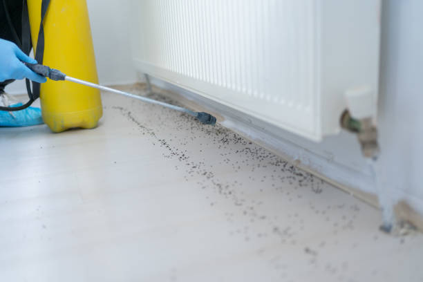 Best Pest Control Near Me in Ballston Spa, NY