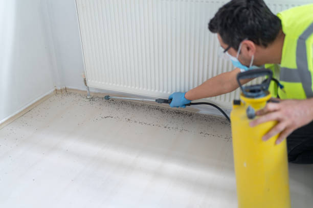 Best Affordable Pest Control Services  in Ballston Spa, NY