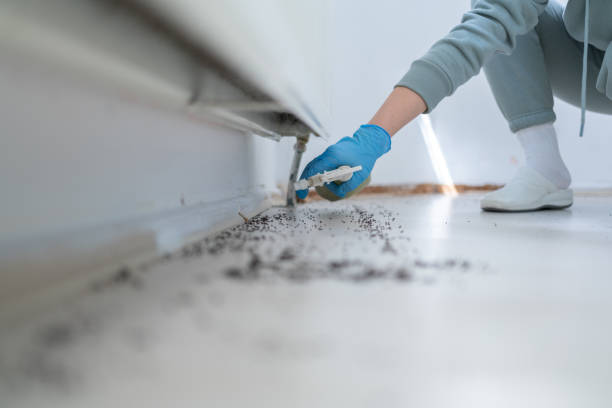 Best Cockroach Control Services  in Ballston Spa, NY